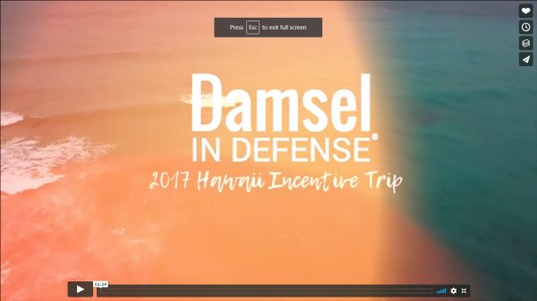 2017 Damsel in Defense Incentive Trip